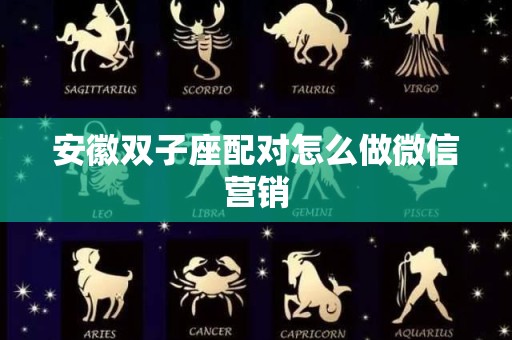 安徽双子座配对怎么做微信营销